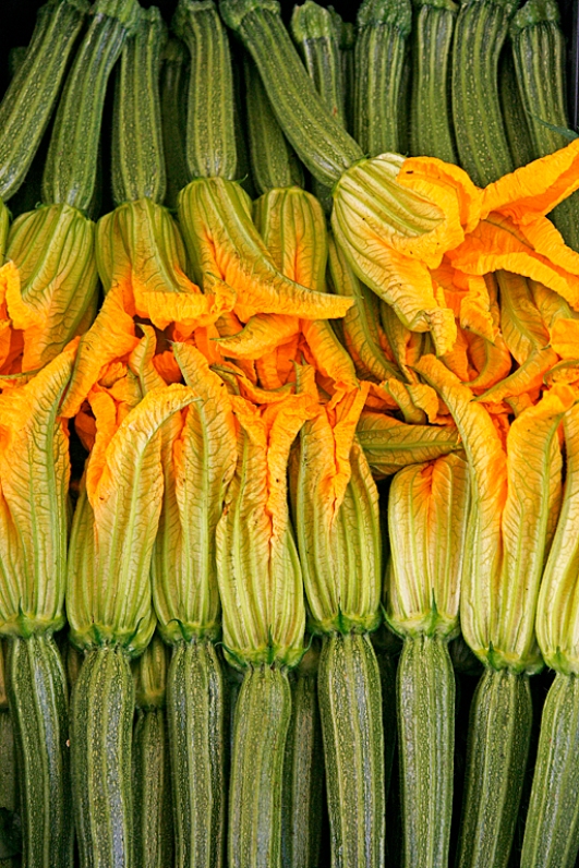 Zucchini flowers, Campo dei Fiore market, Rome, Italy. ©Patrick J. Lynch, 2017. All rights reserved.