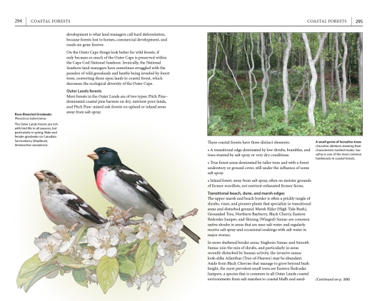 Page spread on coastal forests, from "A Field Guide to Cape Cod."