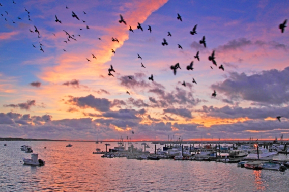 Photograph of the harbor at Provincetown, Massachusetts, at dawn.